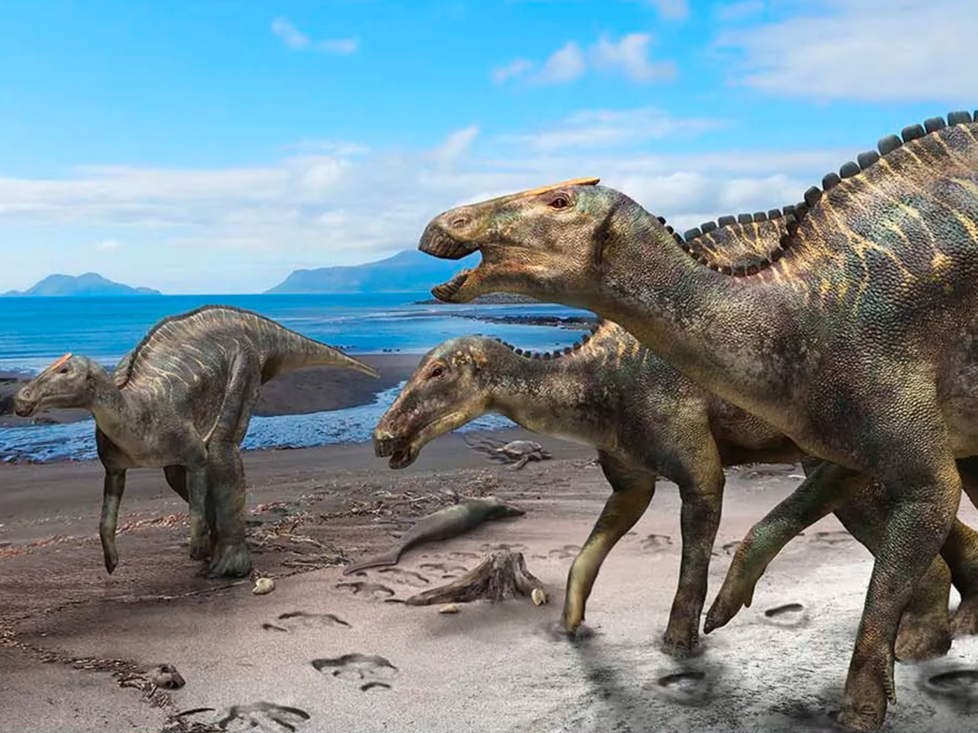 Dinosaur Mingled with Sea Creatures in Japan The Institute for